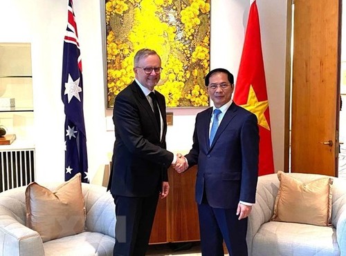 越南外交部长裴青山礼节性拜会澳大利亚总理 - ảnh 1
