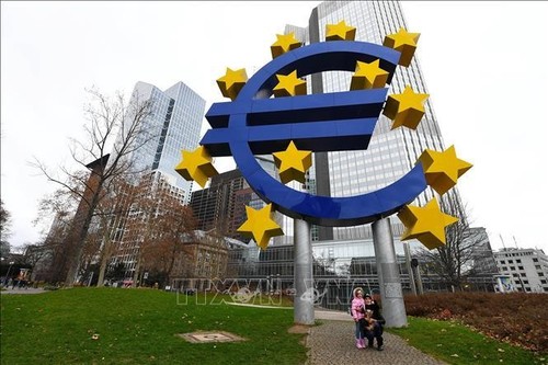 欧元区通胀创历史新高 - ảnh 1