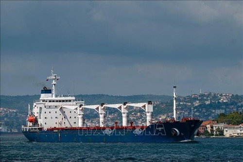 联合国宣布根据黑海谷物倡议恢复船舶检查 - ảnh 1