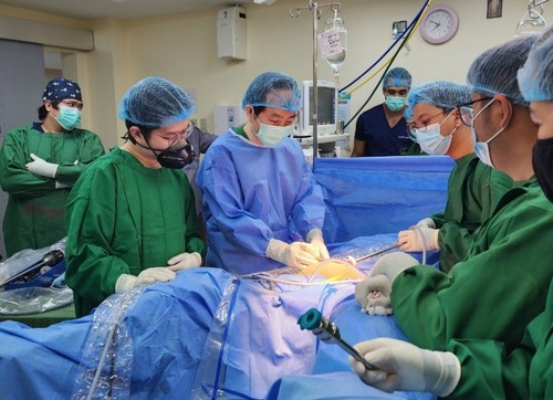 越南医生在菲律宾医院传授机器人手术技术 - ảnh 1