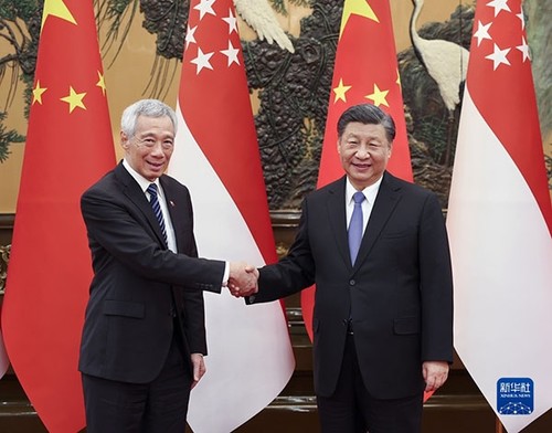 中国与新加坡宣布实质性完成自贸协定升级后续谈判 - ảnh 1