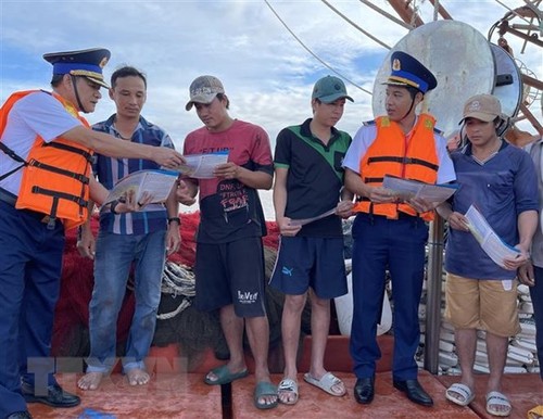 越南与欧盟合作解决​非法、不报告和不管制捕鱼​问题 - ảnh 1