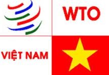 WTO-Beitritt: Das veränderte Kaufverhalten der vietnamesischen Verbraucher - ảnh 1