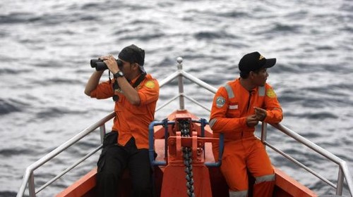 Malaysia treibt Suche nach vermisstem Flugzeug voran - ảnh 1