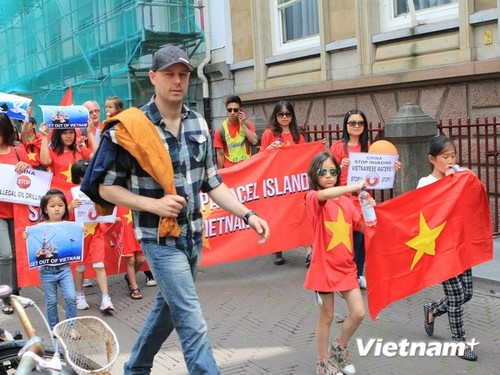 Auslandsvietnamesen protestieren weiterhin gegen China - ảnh 1