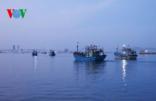 Unterstützung der Fischer beim Fischfang auf dem Meer - ảnh 1