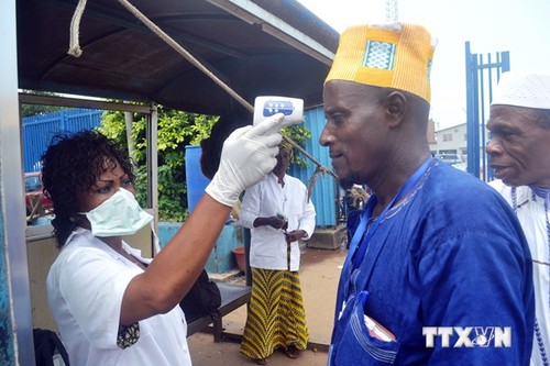 Mehr als 2800 Todesopfer wegen Ebola-Epidemie - ảnh 1