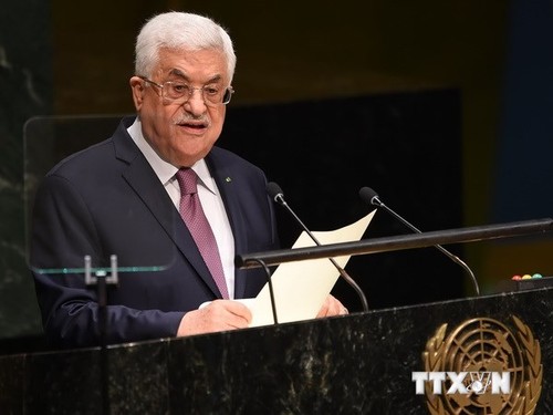 Arabische Liga will der UNO eine Resolution zu Palästina überbringen - ảnh 1