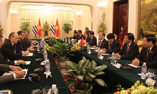 Vertiefung der Freundschaft zwischen den Parlamenten aus Vietnam und Ost-Uruguay - ảnh 1