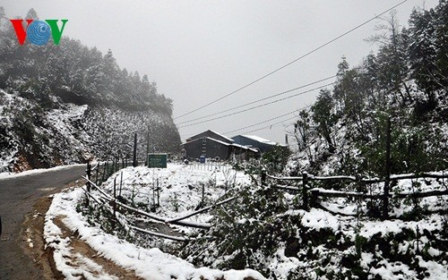 Schnee in Sapa - ảnh 3