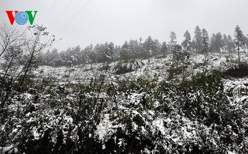 Schnee in Sapa - ảnh 6