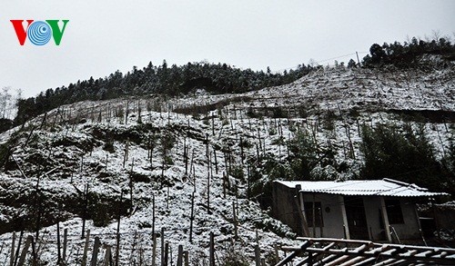 Schnee in Sapa - ảnh 9