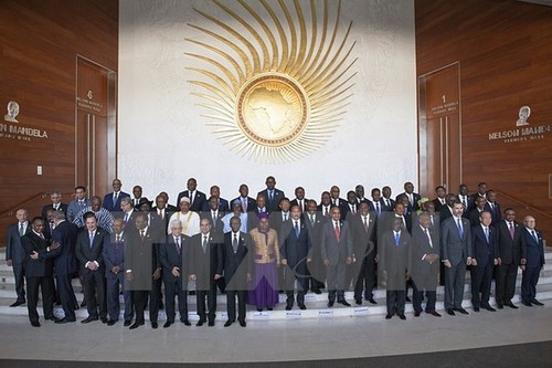 Gipfeltreffen der afrikansichen Union  - ảnh 1