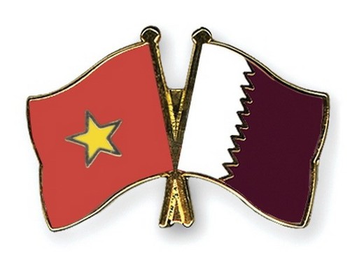 Politische Konsultation zwischen Vietnam und Katar - ảnh 1