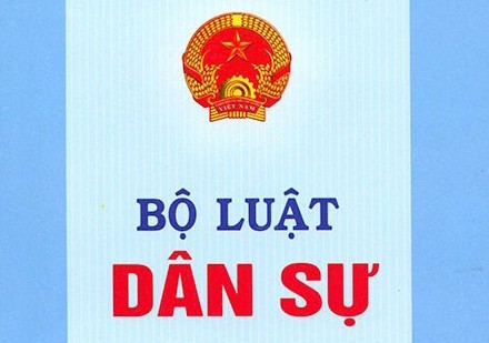 Ho Chi Minh Stadt bittet Bürger um Ideen über den Entwurf des Zivilgesetzbuches - ảnh 1
