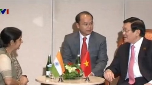 Staatspräsident Truong Tan Sang empfängt indische Außenministerin - ảnh 1