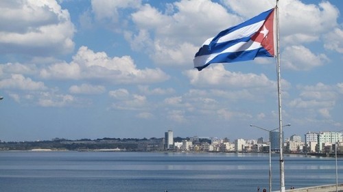 USA nehmen Handelsfähre nach Kuba auf - ảnh 1