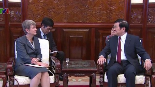 Staatspräsident Truong Tan Sang empfängt ausländische Botschafter in Vietnam - ảnh 1