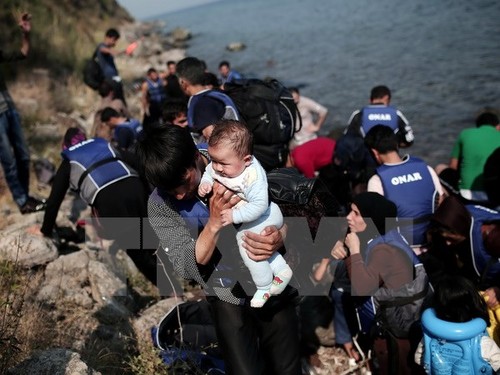 EU macht neue Vorschläge zur Lösung der Flüchtlingskrise - ảnh 1