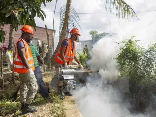 Zika in Lateinamerika: Gesundheitsminister treffen sich in Montevideo - ảnh 1