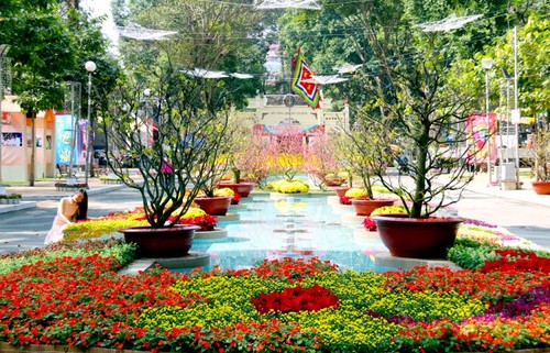 700.000 Besucher beim Blumenfestival in Ho Chi Minh Stadt - ảnh 1