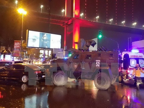 Weltgemeinschaft verurteilt Anschlag auf Nachtklub in der Türkei - ảnh 1