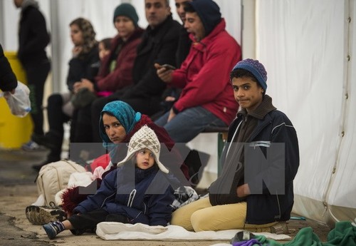 Zahl der Asylsuchenden in Europa sinkt im vergangenen Jahr - ảnh 1