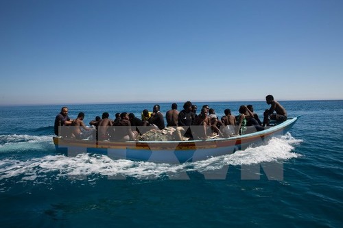Migranten: Ägypten vereitelt Menschenschmuggel nach Europa - ảnh 1
