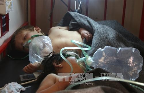 Syrische Regierung bestreit Anwendung von Chemiewaffen - ảnh 1