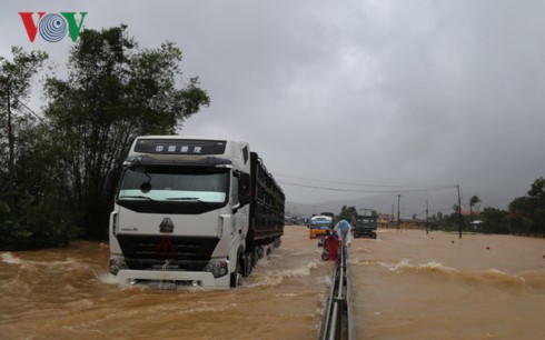 Provinzen bereiten sich vor, Schäden durch Fluten und Erdrutsche zu verringern - ảnh 1