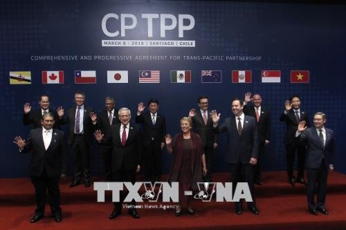 Mexiko ratifiziert CPTPP - ảnh 1