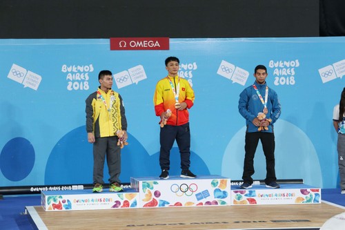 Vietnamesischer Ringkämpfer Ngo Xuan Dinh erzielt Goldmedaille - ảnh 1