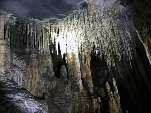 Tour in die Höhlen Vom und Gieng Vooc in Quang Binh - ảnh 1