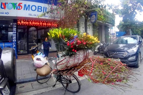Die Stimmung in Hanoi vor dem Tet-Fest - ảnh 10