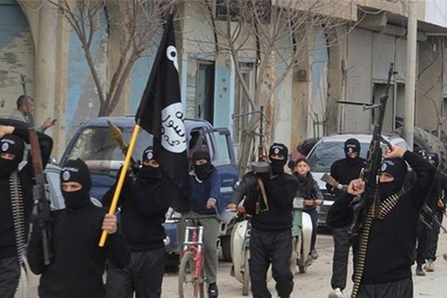 Frankreich will seine Bürger als IS-Kämpfer in Syrien nicht aufnehmen - ảnh 1