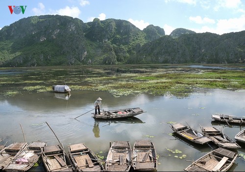 Entdecken die Naturschönheit des 9. Schutzgebietes Van Long- Ramsar in Vietnam - ảnh 2