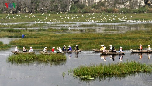 Entdecken die Naturschönheit des 9. Schutzgebietes Van Long- Ramsar in Vietnam - ảnh 5