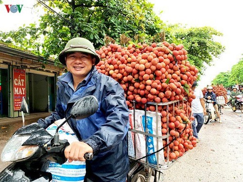 Früchte aus Vietnam werden in viele Länder exportiert - ảnh 1