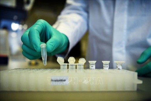 Hoffnung auf erfolgreiche Herstellung von Vakzinen gegen SARS-CoV-2 in Deutschland - ảnh 1