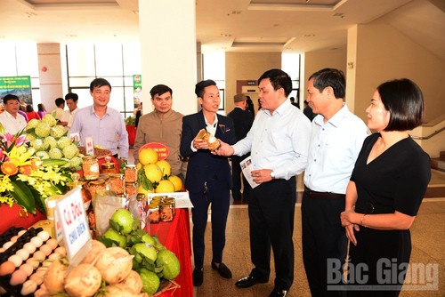   Bac Giang will Wettbewerb „Spezielles Kulturprodukt” der Provinz starten - ảnh 1