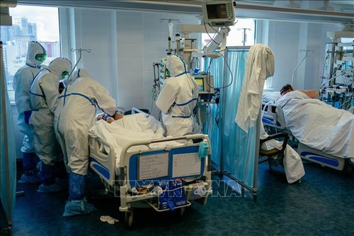 Vietnamesen unterstützen Mediziner bei Bekämpfung der COVID-19-Pandemie in Russland - ảnh 1