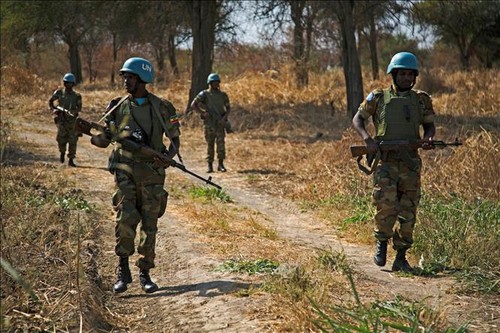 Vietnam ist für friedliche Lösung der Streitigkeiten zwischen Sudan und Südsudan in Abyei - ảnh 1