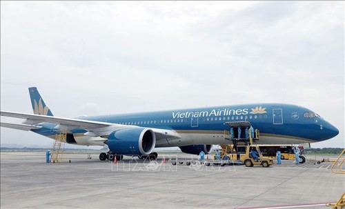 Regierung hilft Vietnam Airlines, Schwierigkeiten zu überwinden - ảnh 1