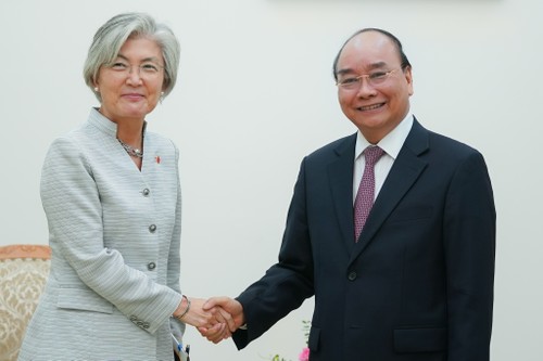 Vietnam und Südkorea wollen Handelsvolumen auf 100 Milliarden US-Dollar fördern - ảnh 1