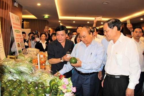 Premierminister Nguyen Xuan Phuc: Vietnam schenke Landwirtschaft und ländlichen Gegenden große Aufmerksamkeit  - ảnh 1