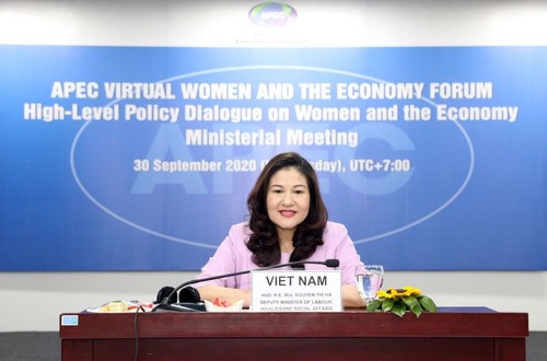 Forum über Frauen und Wirtschaft APEC 2020-Verbesserung der Wirtschaftsrechte der Frauen - ảnh 1