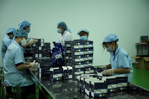Unternehmen in Ho-Chi-Minh-Stadt verstärken den Export durch die Differenzierung von Produkten - ảnh 1