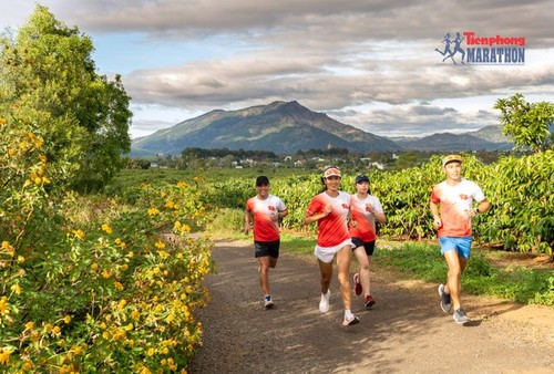 Bekanntgabe der Laufstrecke für Tien Phong Marathon 2021 - ảnh 1