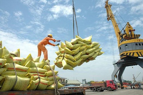 Bestätigung von vietnamesischem Reis auf anspruchsvollen Märkten - ảnh 1