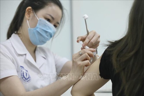 Mehr als 240 Freiwillige für Impftest in der 3. Phase mit Impfstoff Nanocovax - ảnh 1